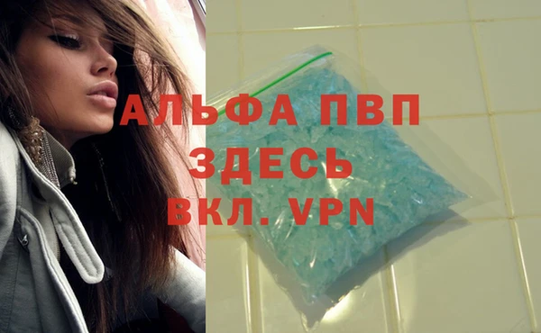амф Верхний Тагил