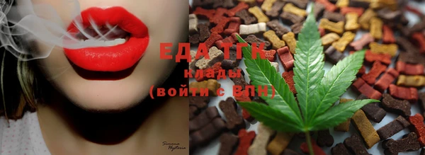 амф Верхний Тагил