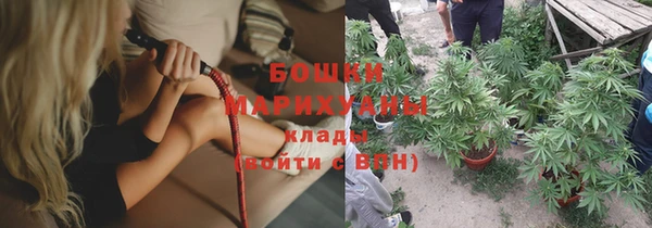 амф Верхний Тагил
