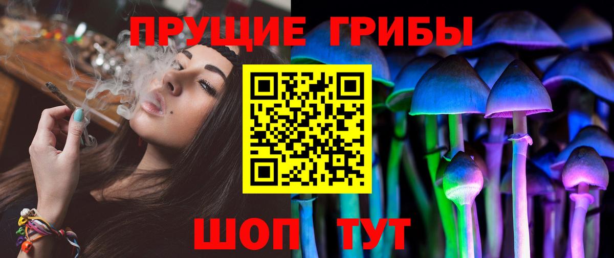 Галлюциногенные грибы Psilocybine cubensis  Вход с VPN  Гагарин 